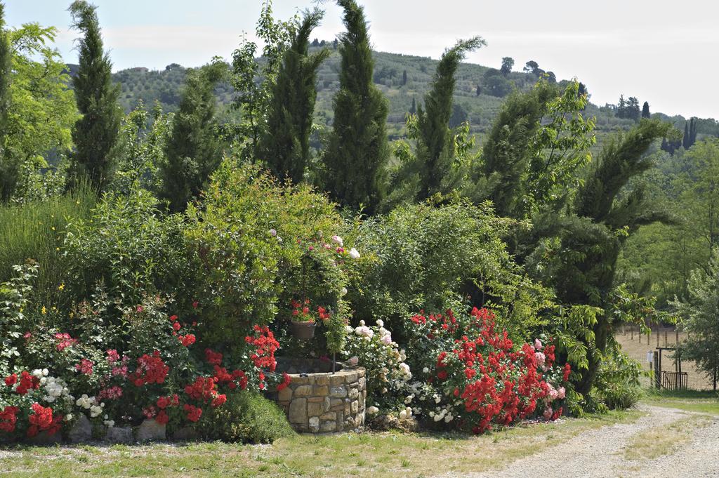 La Buca Di Montauto Hotel San Gimignano Exterior foto